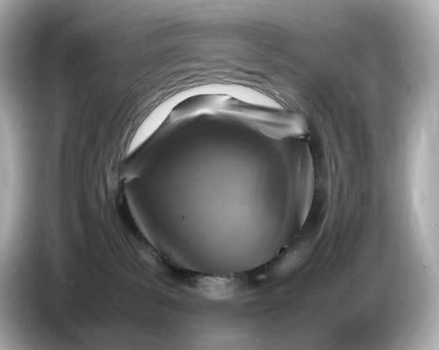 X0000087010139200704301425