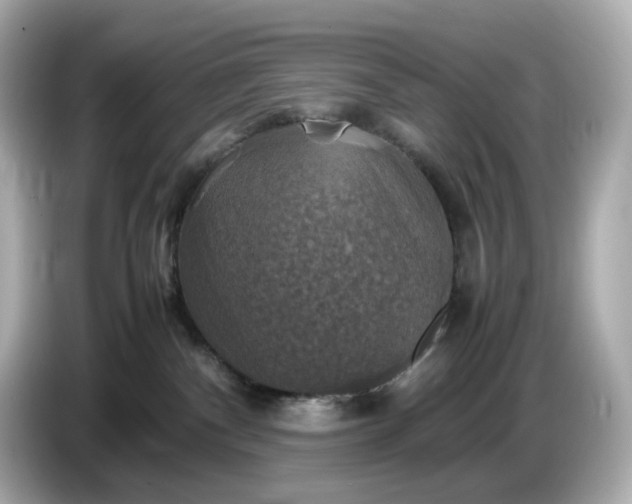 X0000087010140200704301425