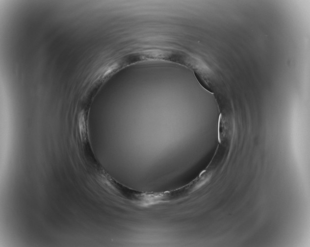 X0000087010143200704301425