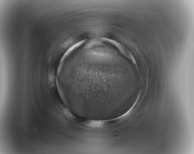 X0000087010144200704301425