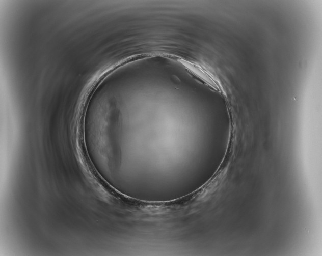 X0000087010145200704301425