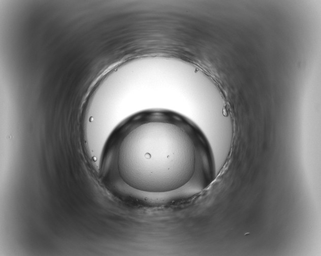 X0000087010146200704301425