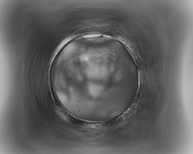 X0000087010147200704301425