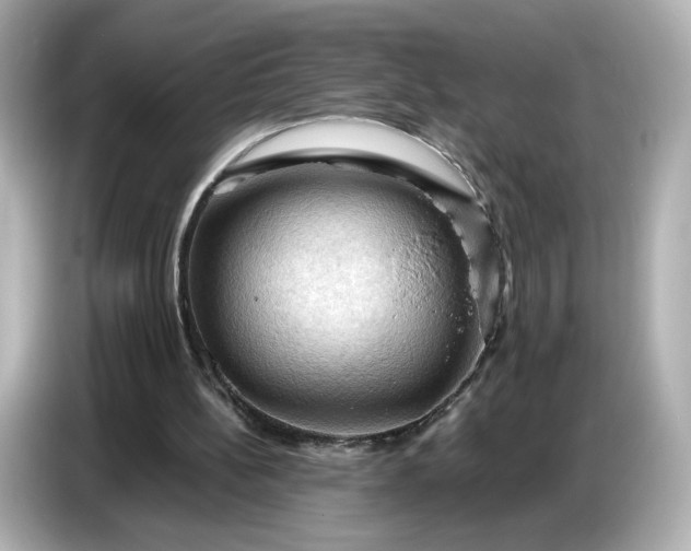 X0000087010148200704301425