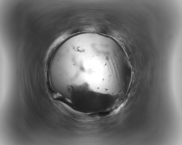 X0000087010149200704301425