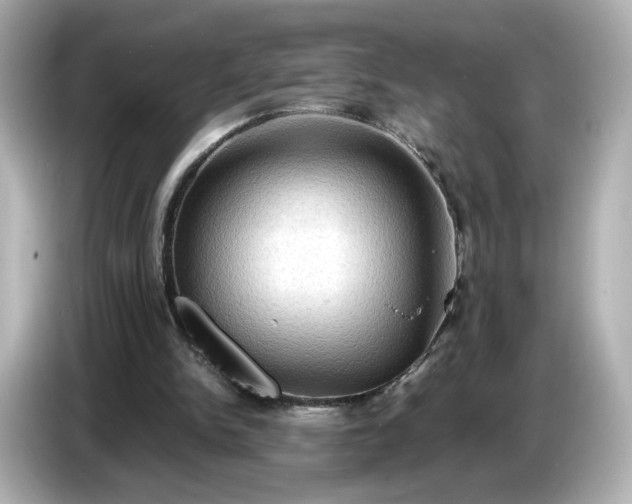 X0000087010150200704301425