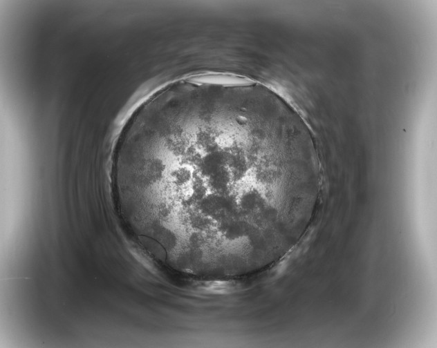 X0000087010151200704301425