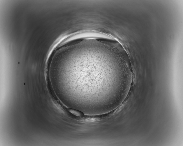 X0000087010152200704301425