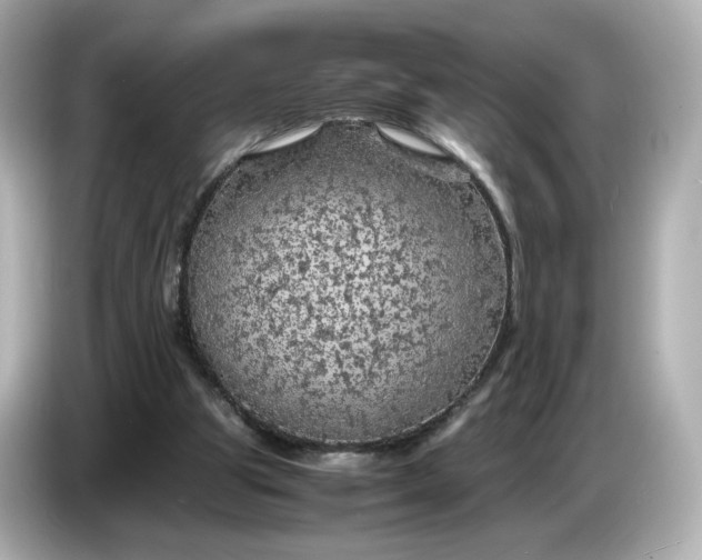 X0000087010153200704301425