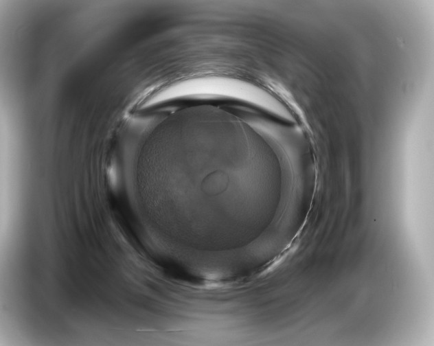 X0000087010154200704301425