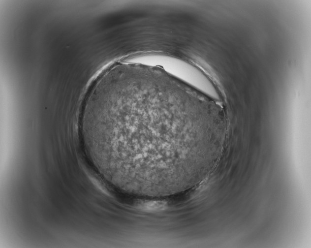 X0000087010155200704301425