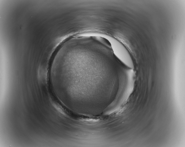 X0000087010156200704301425