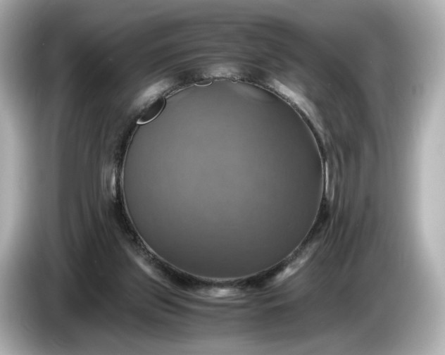 X0000087010157200704301425