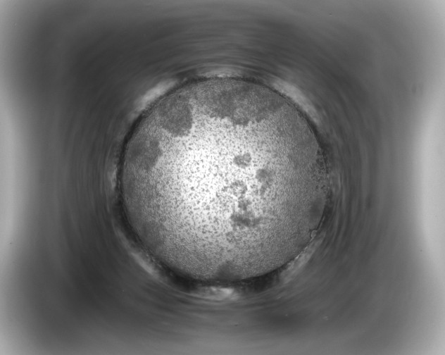 X0000087010159200704301425