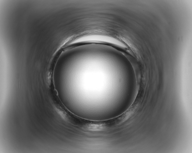 X0000087010160200704301425