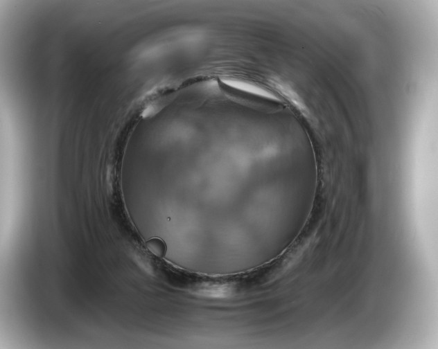 X0000087010161200704301425