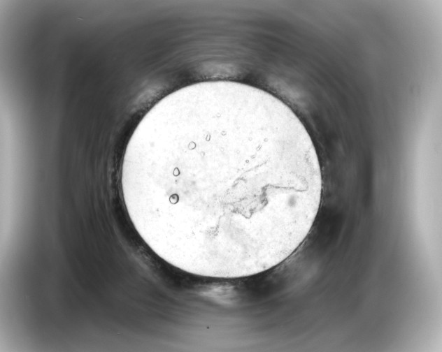 X0000087010162200704301425