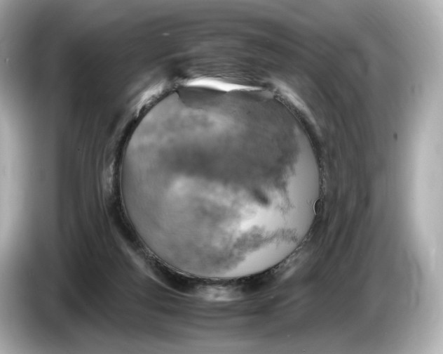 X0000087010163200704301425