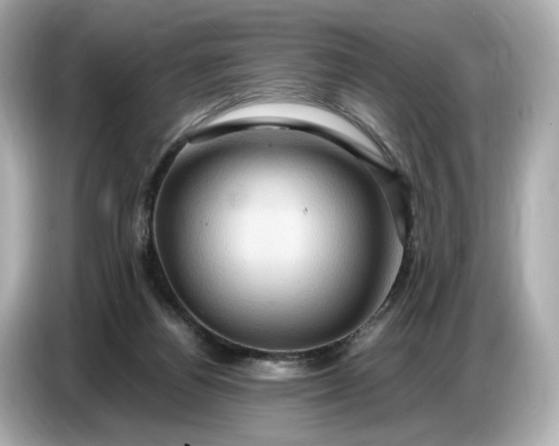 X0000087010164200704301425