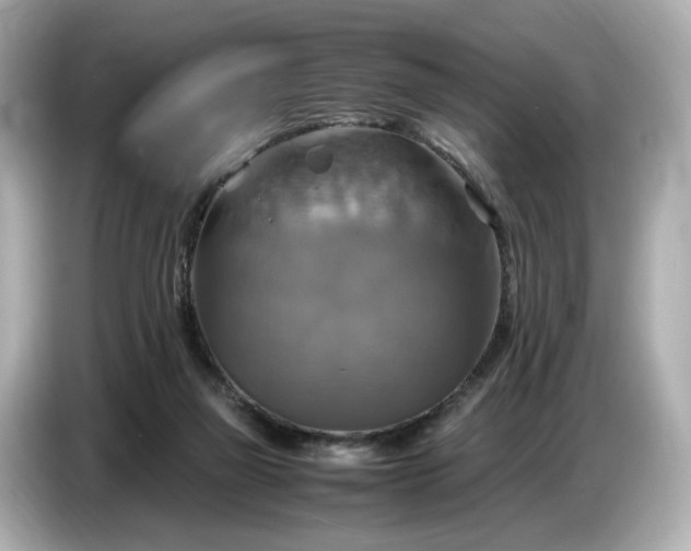 X0000087010165200704301425