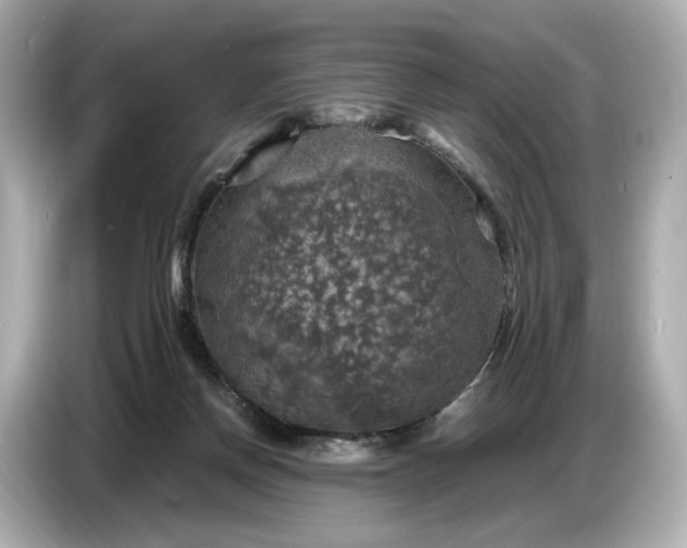 X0000087010166200704301425