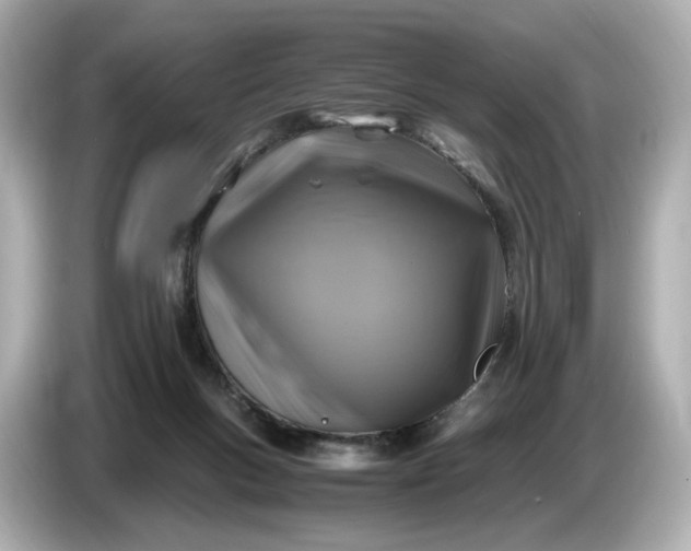 X0000087010167200704301425