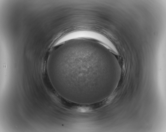 X0000087010168200704301425