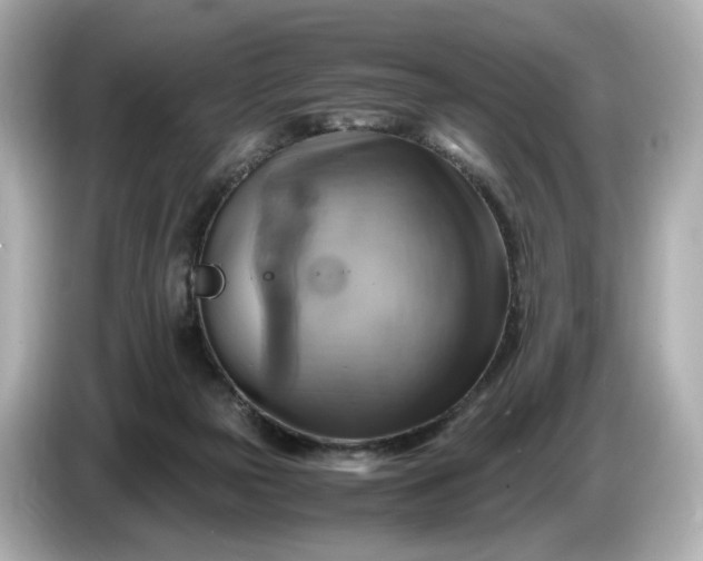 X0000087010169200704301425