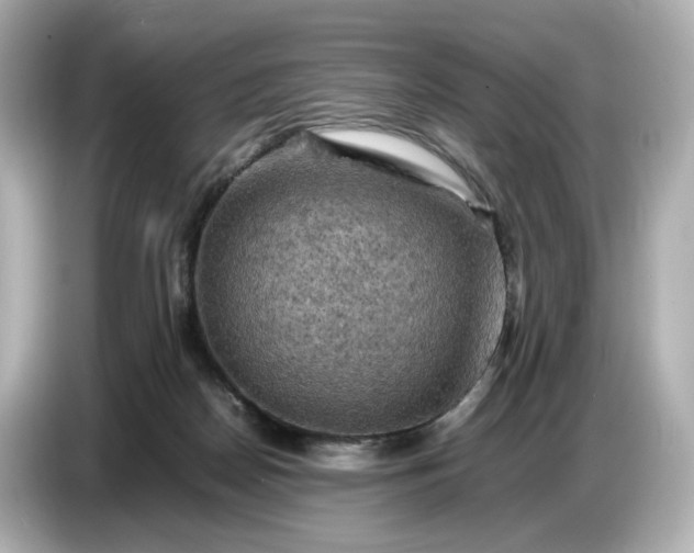 X0000087010170200704301425