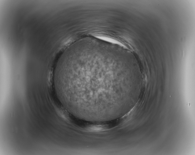 X0000087010171200704301425