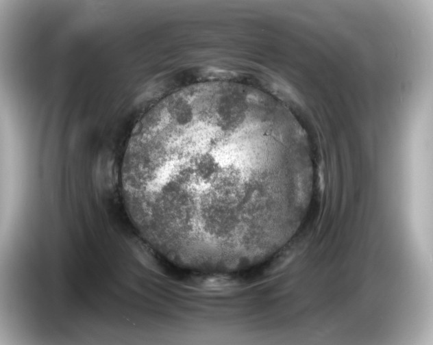 X0000087010173200704301425