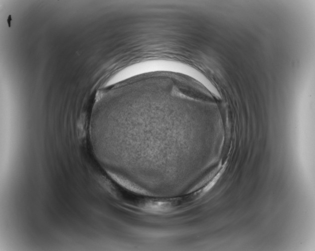 X0000087010174200704301425