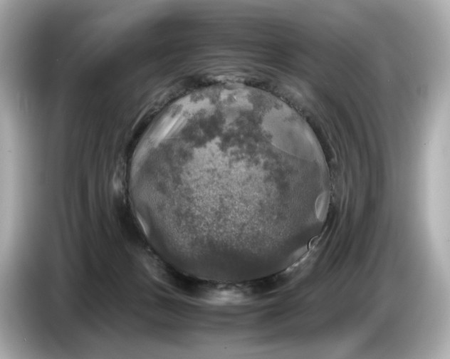 X0000087010175200704301425