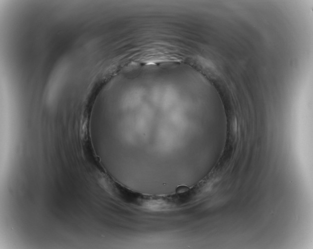 X0000087010177200704301425