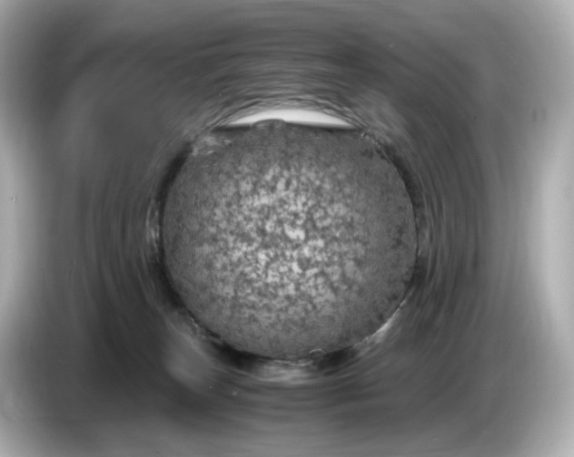 X0000087010179200704301425