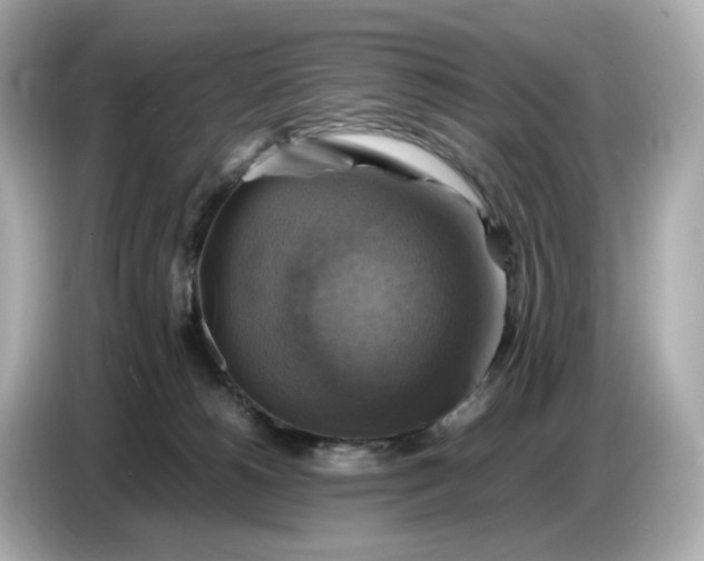 X0000087010180200704301425