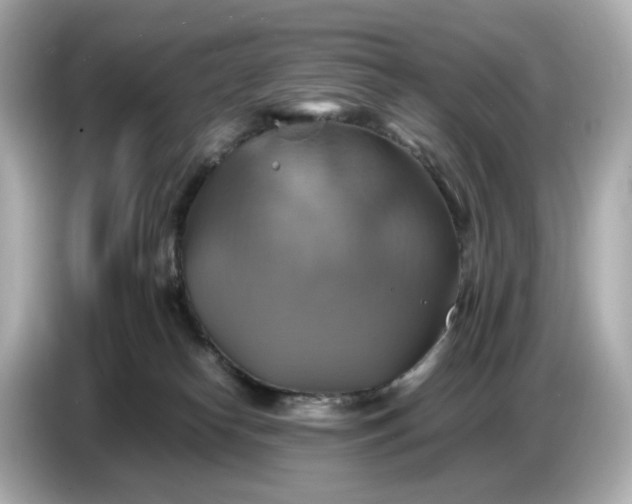 X0000087010182200704301425