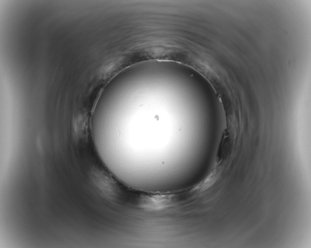 X0000087010184200704301425