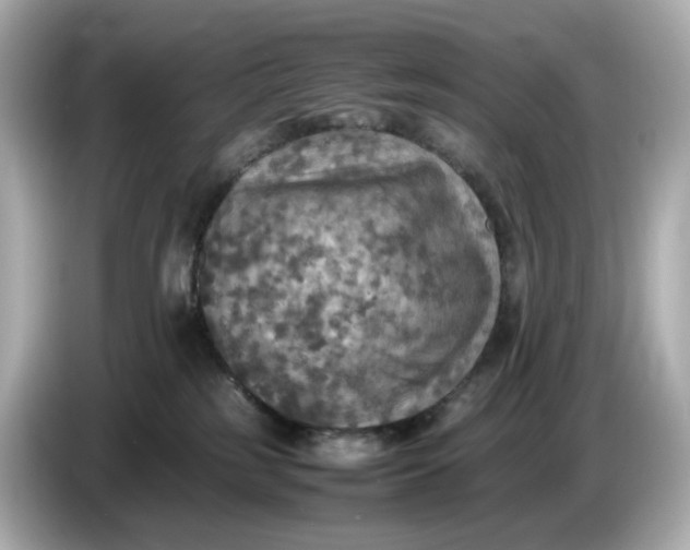 X0000087010185200704301425