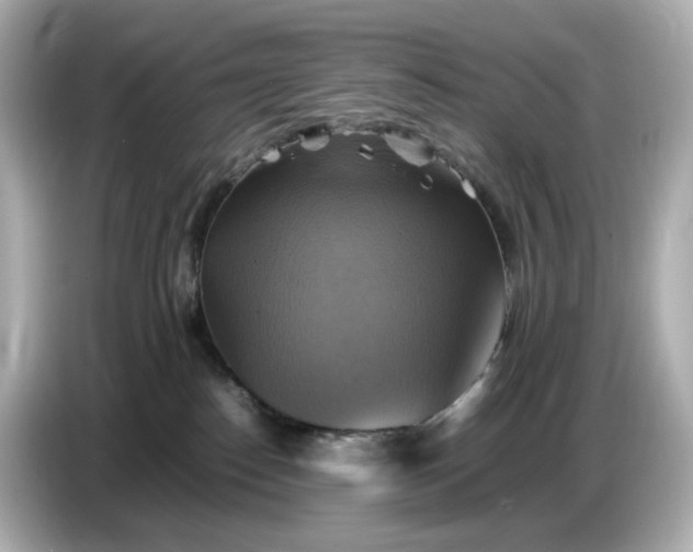 X0000087010186200704301425