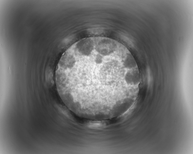 X0000087010187200704301425