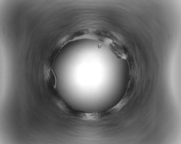 X0000087010188200704301425