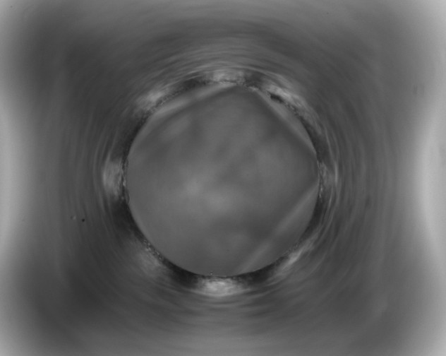 X0000087010189200704301425