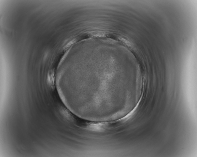 X0000087010190200704301425