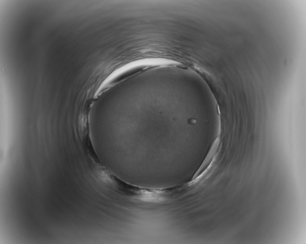 X0000087010192200704301425