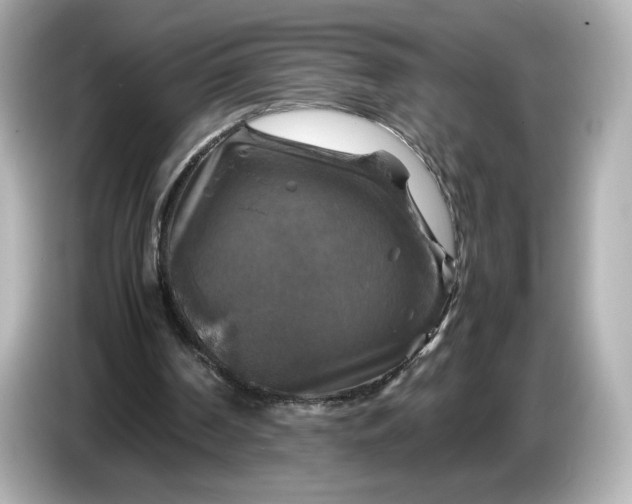 X0000087010194200704301425