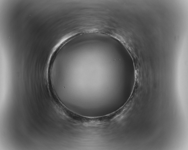 X0000087010196200704301425