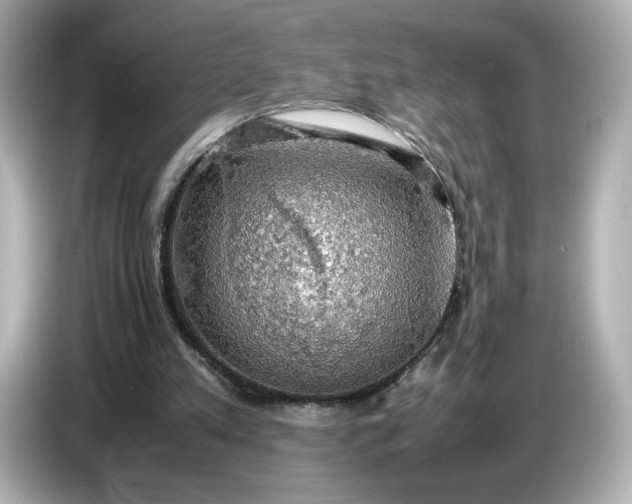 X0000087010197200704301425