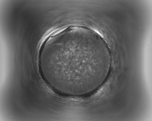 X0000087010199200704301424