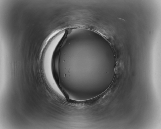 X0000087010200200704301424